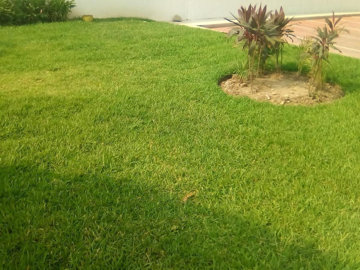 Apartament Victor House Acapulco Zewnętrze zdjęcie